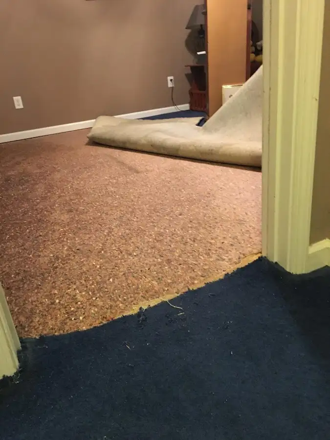 Carpet pad removal revealing water damage during Drying & Dehumidification in Glenwood