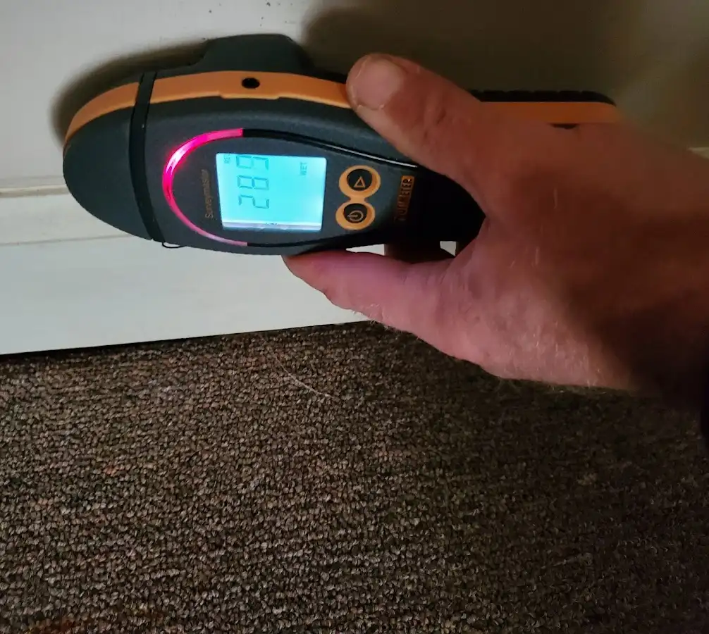Moisture detection at baseboard during Sewage Cleanup & Sanitation in Glenwood